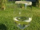 Weißer Bär (Aperitif) - Rezept