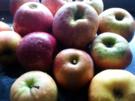 leckeren Apfelbrei im Glas - Rezept