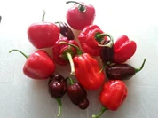 scharfes Chili Schmalz - Rezept