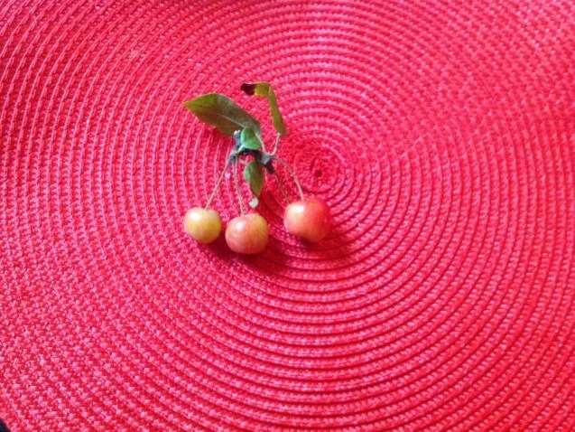 Rezept: Fruchtiger Wurst-Käsesalat Bild Nr. 16 Fruchtiger Wurst-Käsesalat - Rezept - Bild Nr. 16