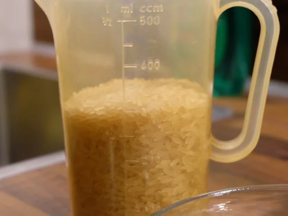 Nasi Taler - Rezept - Bild Nr. 4