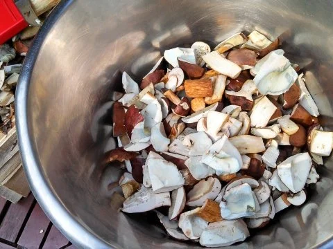 Omelett mit frischen Steinpilzen - Rezept - Bild Nr. 4