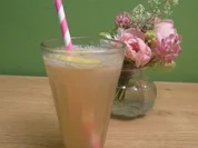 Rharbaber Fizz - Rezept