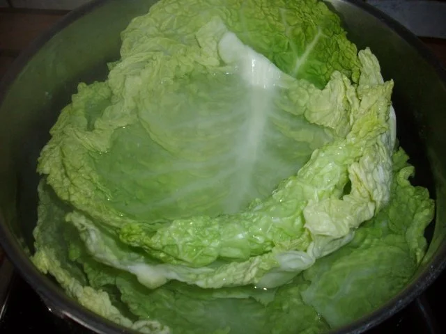 Rezept: wirsingrouladen mit rahmwirsing und salzkartoffeln Bild Nr. 4 wirsingrouladen mit rahmwirsing und salzkartoffeln - Rezept - Bild Nr. 4