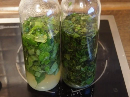 Pfefferminzlikör selbst gemacht - Rezept - Bild Nr. 6