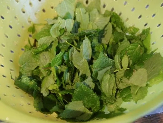 Pfefferminzlikör selbst gemacht - Rezept - Bild Nr. 3