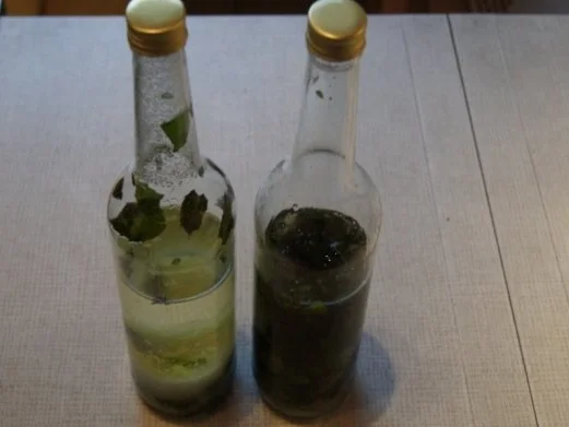 Pfefferminzlikör selbst gemacht - Rezept - Bild Nr. 5