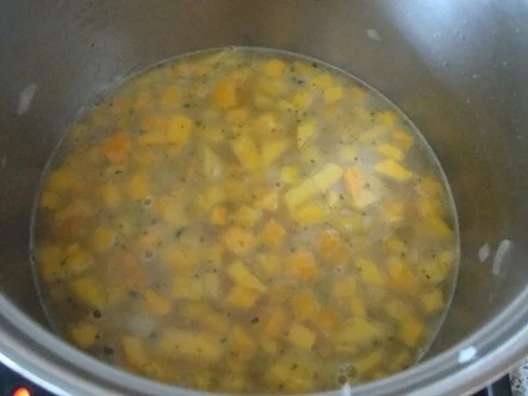 Kürbissüppchen nach "SuppenGeniesser Art" mit Edelpilzkäse verfeinert - Rezept - Bild Nr. 8