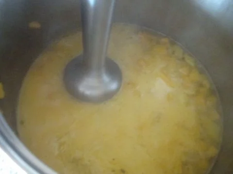 Kürbissüppchen nach "SuppenGeniesser Art" mit Edelpilzkäse verfeinert - Rezept - Bild Nr. 9