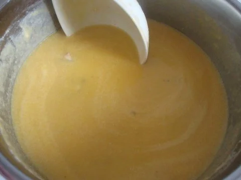 Kürbissüppchen nach "SuppenGeniesser Art" mit Edelpilzkäse verfeinert - Rezept - Bild Nr. 10