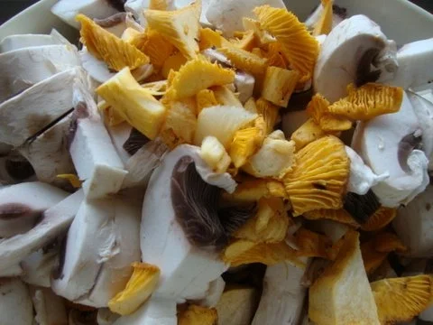 Rezept: Pilzsuppe nach "SuppenGeniesser Art" mit Käsetrilogie verfeinert Bild Nr. 4 Pilzsuppe nach "SuppenGeniesser Art" mit Käsetrilogie verfeinert - Rezept - Bild Nr. 4