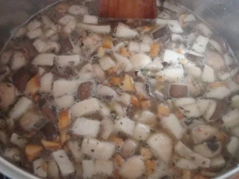 Rezept: Pilzsuppe nach "SuppenGeniesser Art" mit Käsetrilogie verfeinert Bild Nr. 8 Pilzsuppe nach "SuppenGeniesser Art" mit Käsetrilogie verfeinert - Rezept - Bild Nr. 8