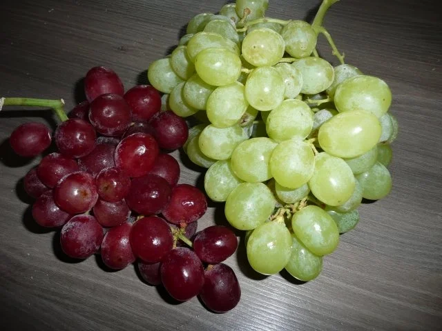 Backen : Ginas Winzer - Kuchen - Rezept - Bild Nr. 4