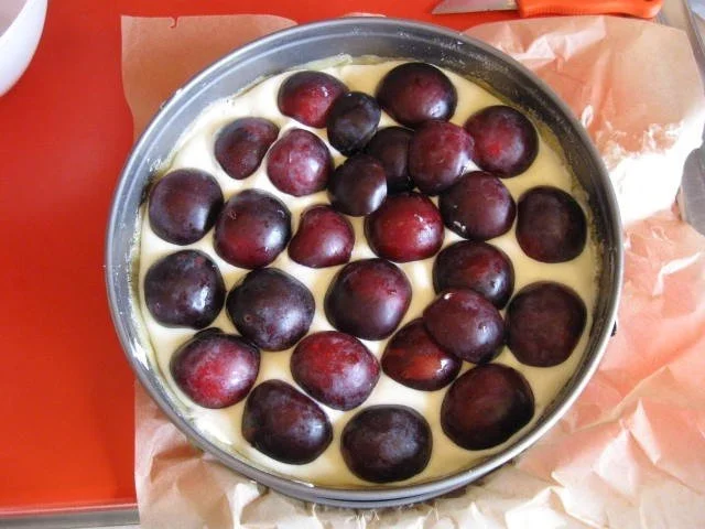 Käsekuchen mit Pflaumen und Streusel - Rezept - Bild Nr. 13