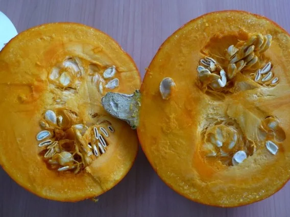 Gefüllter Hokkaido - Rezept - Bild Nr. 2