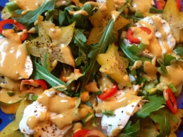 Rezept: Mozzarella mit Rucola, Sternfrucht und Kaktusfeigen - Dressing Bild Nr. 3 Mozzarella mit Rucola, Sternfrucht und Kaktusfeigen - Dressing - Rezept - Bild Nr. 3