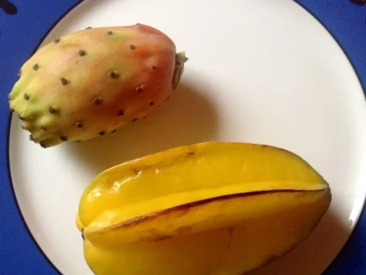 Rezept: Mozzarella mit Rucola, Sternfrucht und Kaktusfeigen - Dressing Bild Nr. 6 Mozzarella mit Rucola, Sternfrucht und Kaktusfeigen - Dressing - Rezept - Bild Nr. 6