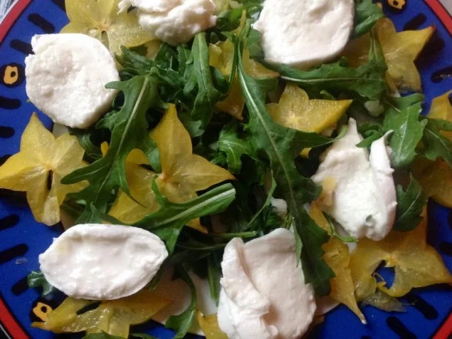 Rezept: Mozzarella mit Rucola, Sternfrucht und Kaktusfeigen - Dressing Bild Nr. 9 Mozzarella mit Rucola, Sternfrucht und Kaktusfeigen - Dressing - Rezept - Bild Nr. 9
