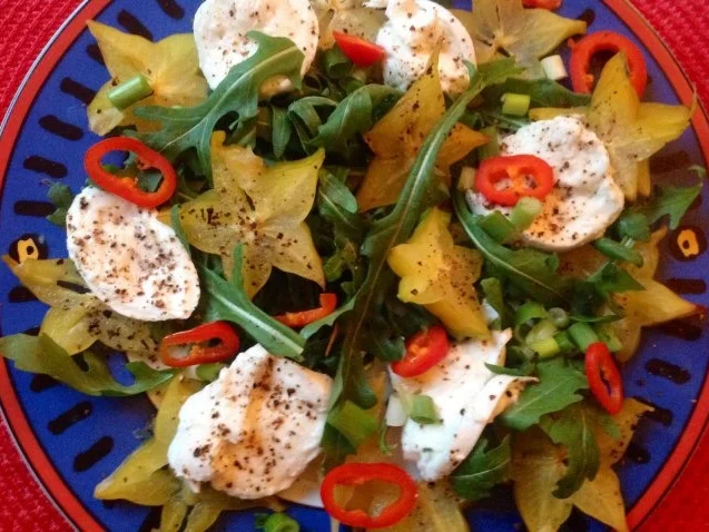 Rezept: Mozzarella mit Rucola, Sternfrucht und Kaktusfeigen - Dressing Bild Nr. 11 Mozzarella mit Rucola, Sternfrucht und Kaktusfeigen - Dressing - Rezept - Bild Nr. 11