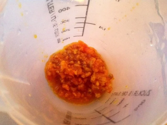 Rezept: Mozzarella mit Rucola, Sternfrucht und Kaktusfeigen - Dressing Bild Nr. 12 Mozzarella mit Rucola, Sternfrucht und Kaktusfeigen - Dressing - Rezept - Bild Nr. 12