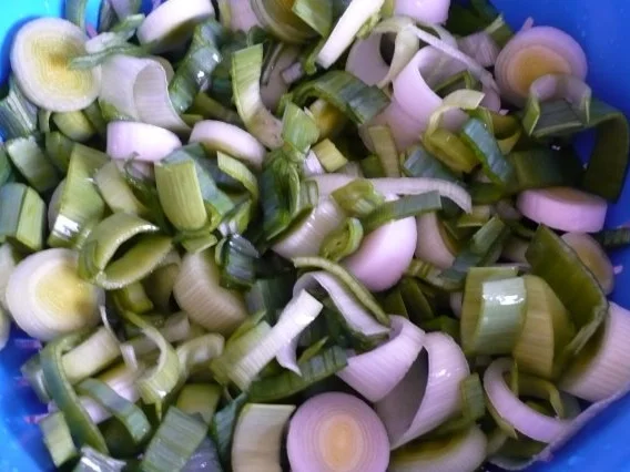 Kassler überbacken - Rezept - Bild Nr. 5