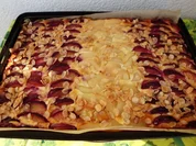 Käsekuchen vom Blech mit Pflaumen und Birnen - Rezept