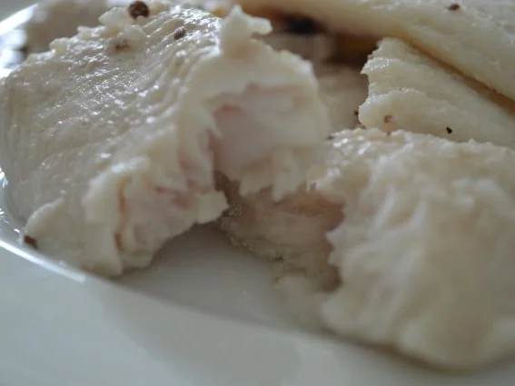 Pangasius - Filet - Rezept - Bild Nr. 16