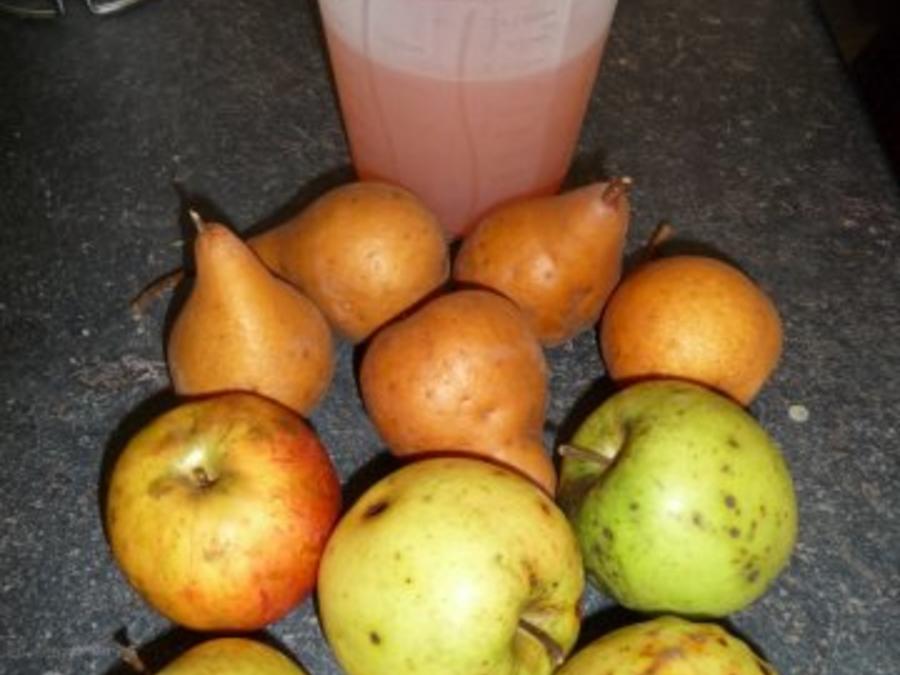 Quitten Apfel Birnen Saft - einfach - von andrea_h89