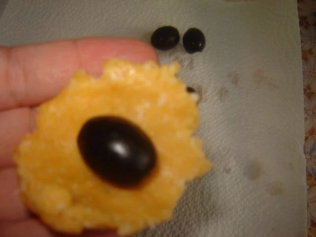 Parmesanoliven - Rezept - Bild Nr. 4