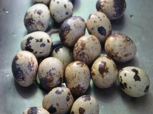 Gemischter Salat mit Wachteleiern - Rezept - Bild Nr. 2