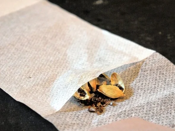 Rezept: Espresso-Kardamom-Creme Bild Nr. 4 Espresso-Kardamom-Creme - Rezept - Bild Nr. 4