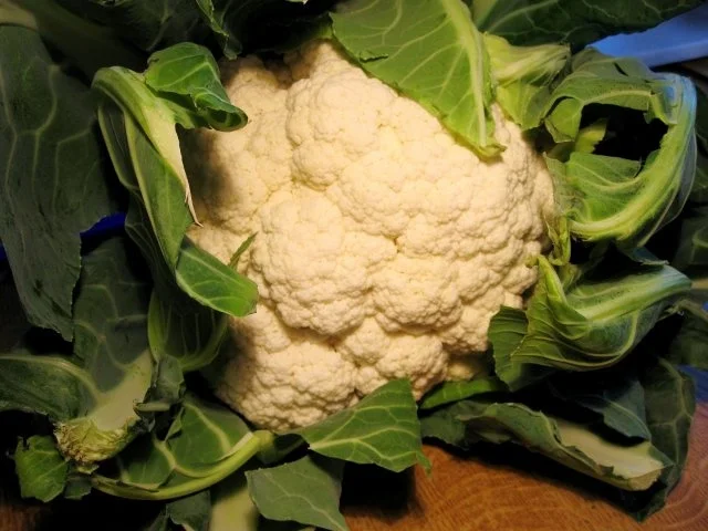 Rezept: Blumenkohl Bild Nr. 2 Blumenkohl - Rezept - Bild Nr. 2