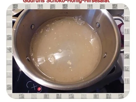 Gesundes: Schoko-Honig-Hirsesalat - Rezept - Bild Nr. 4