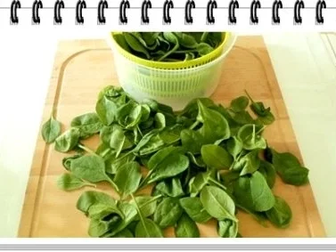 Spinat-Lachs-Frischkäse Rolle - Rezept - Bild Nr. 5