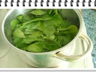 Spinat-Lachs-Frischkäse Rolle - Rezept - Bild Nr. 7