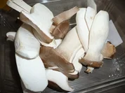 ☼ Seitlinge in Bratkartoffeln, mal eine andere Version im Herbst. - Rezept