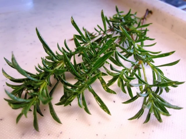 Quer durch den Kühlschrank - Rezept - Bild Nr. 6