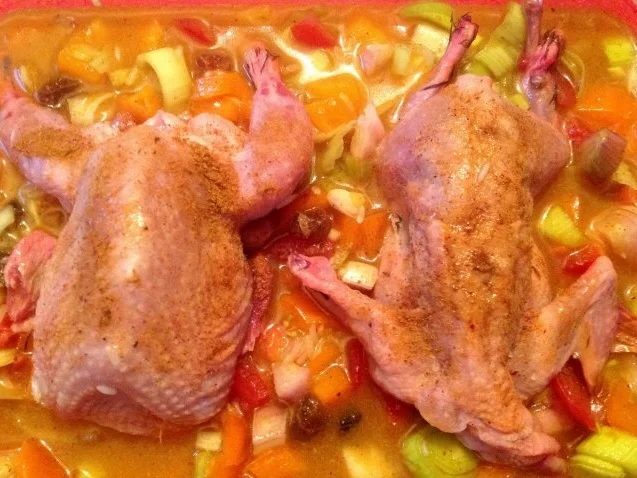 Wachteln orientalischer Art - Rezept - Bild Nr. 14