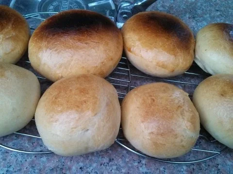 Rezept: Hamburger Buns or Hot Dog Rolls Hamburger Buns or Hot Dog Rolls - Rezept
