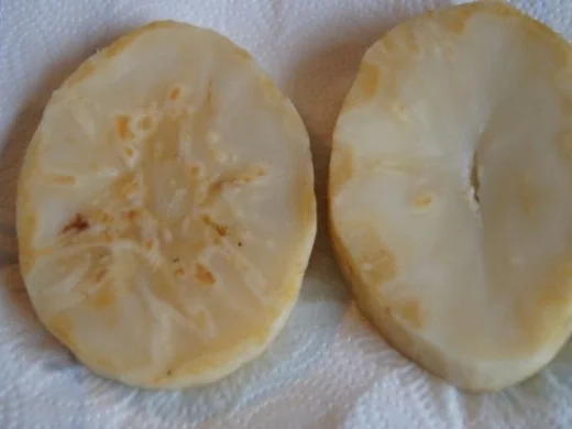 Sellerieschnitzel mit Crème fraîche Champignons und Sellerie-Kartoffel-Stampf - Rezept - Bild Nr. 5