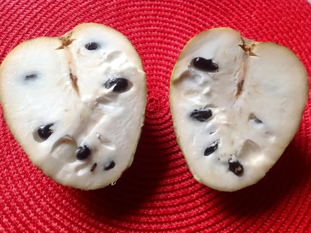 Rezept: Cherimoya-Yoghurt-Dessert Bild Nr. 5 Cherimoya-Yoghurt-Dessert - Rezept - Bild Nr. 5