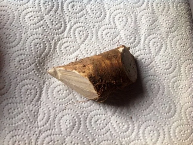 Nudeln mit Roastbeef - Rezept - Bild Nr. 7