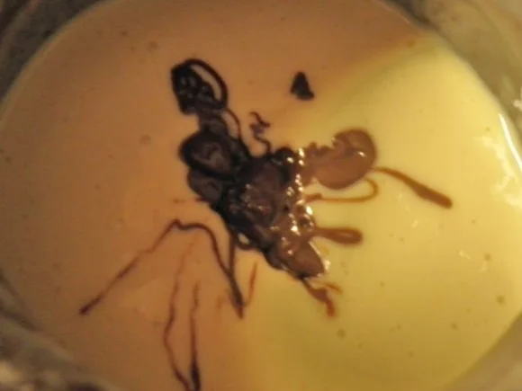 Rezept: Schokoladen - Eierkuchen ... Bild Nr. 5 Schokoladen - Eierkuchen ... - Rezept - Bild Nr. 5