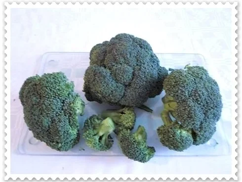 Rezept: Herbstliche Gemüsecremesuppe mit pochiertem Ei Bild Nr. 3 Herbstliche Gemüsecremesuppe mit pochiertem Ei - Rezept - Bild Nr. 3