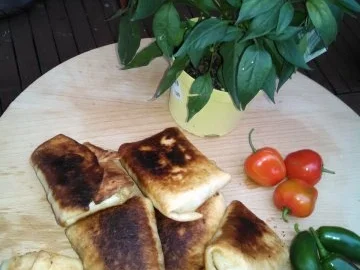 Beef Chimichangas   " HOT " - Rezept - Bild Nr. 3