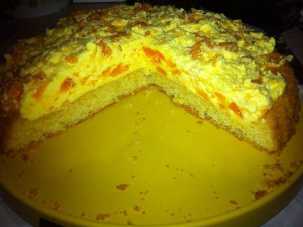 Schüttelkuchen - Rezept mit Bild - kochbar.de