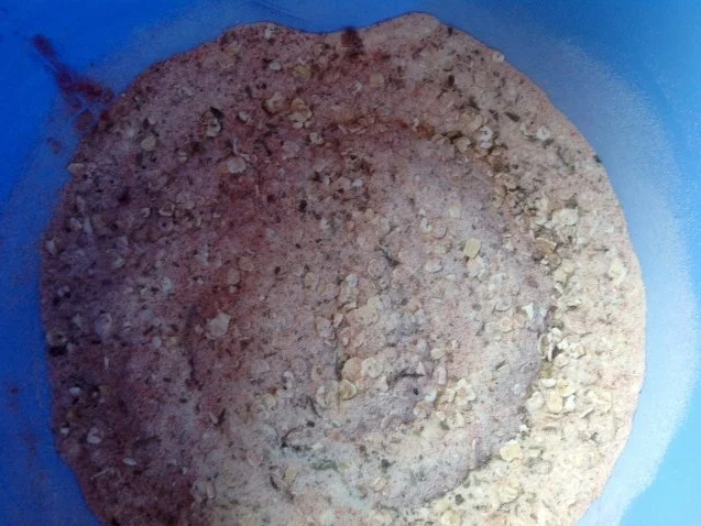 vegane Steaks - Rezept - Bild Nr. 8