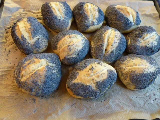 Rezept: Mohnbrötchen Mohnbrötchen - Rezept
