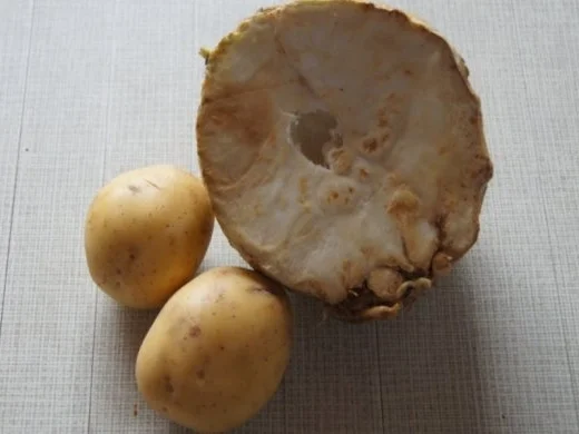 Rezept: Minutensteaks mit Kartoffelpufferpanade, Selleriepüree und Tatarska omacka Bild Nr. 8 Minutensteaks mit Kartoffelpufferpanade, Selleriepüree und Tatarska omacka - Rezept - Bild Nr. 8