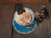 "Gaffende Giraffe" - Mascarpone-Crème mit Brownies - Rezept